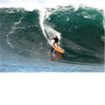 Surfs Up