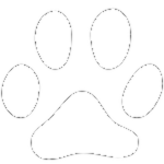CAT_MAN Studio