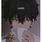 LAW0