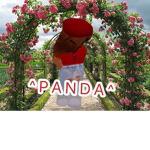 Brėåds