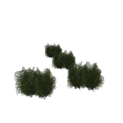 bushes