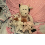 Animals squad for life