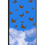 „Butterfly"