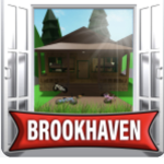 Brookhaven_istcool