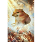 Pug World2 >:3