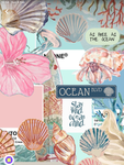 Ethan's Seashells