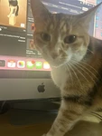lovecasts Group Thumbnail