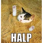 #HALP