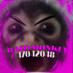 babymonkey彡
