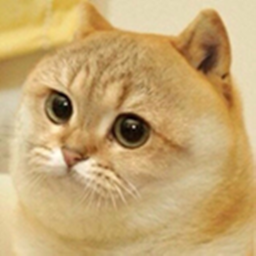 Cate Central