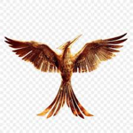 ~MockingJay Hunters~