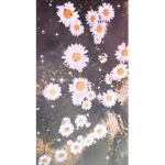 DaisyxChains