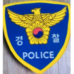 입양 경찰