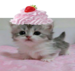 Kitty gg