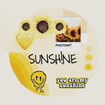 Sunshines fun