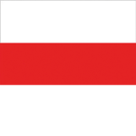Plonische gruppe