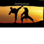 martial arts and ninja skills