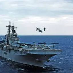 Free for All on A Carrier