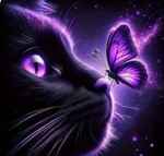 Violet Kitty