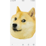 The official doges unite group!
