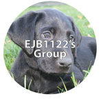 EJB1122's group