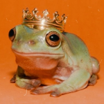 lil froggyz