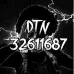 DTN (DONT TRUST NOBODY)