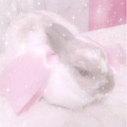 ✧･ﾟ: *✧･ﾟ:*