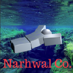 Narwhal Co.