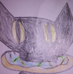 The hardcorecats!