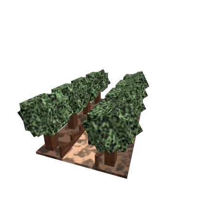 FARM REVAMP