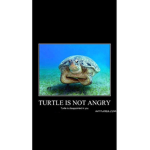 Save the turtles ###