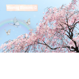 Blossom Vibe ✨🌸