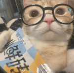 HELLO!BESTIES!HALLO