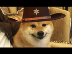 Doge fan club we support doge