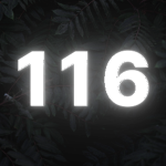 116 Team