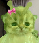 moo chi