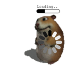 Loading Chomik