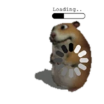 Loading Chomik