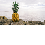 Xx_pinapplegroup_xX