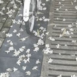 のみ ♡︎