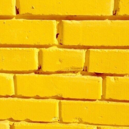 🍯