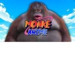 The Monke Foundation
