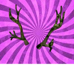 Antler owners and fans!