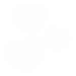 kіtti