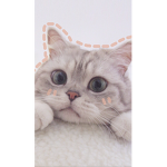 P E A C H Y C L O T H I N G