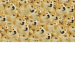 Much Doge