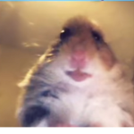 Hamsters and rats family c:
