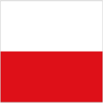 Polish Roblox Team