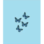 BlueberryWorldUnicorn